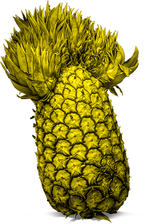 Piña creada por SAO Branding, agencia de diseño web y diseño de catálogos, gestión de redes sociales, posicionamiento SEO y SEM